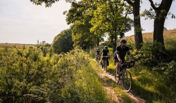 Bikepacking-Taschen